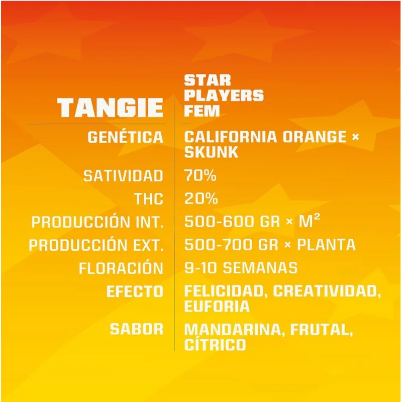 Tangie Marijuana Seeds