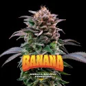Semillas de Marihuana Gorilla Banana Feminized