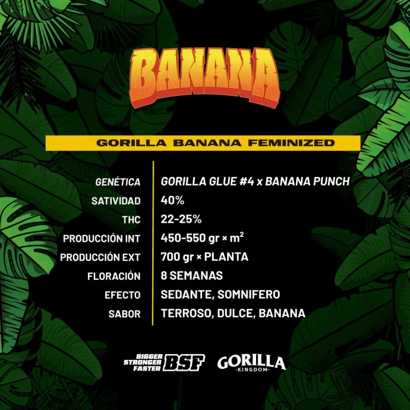 Semillas de Marihuana Gorilla Banana Feminized