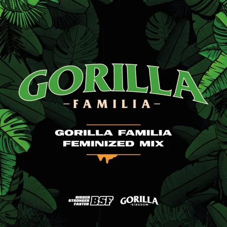 Semillas de Marihuana Gorilla Familia Feminized Mix