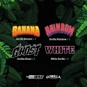 Semillas de Marihuana Gorilla Familia Feminized Mix