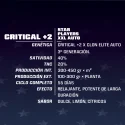 Critical +2 XXL Auto Marijuana Seeds