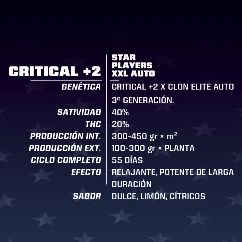 Critical +2 XXL Auto Marijuana Seeds