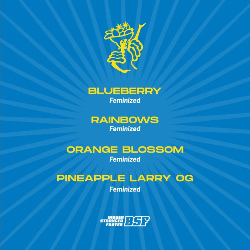 Tutti Frutti Feminized Mix Marijuana Seeds