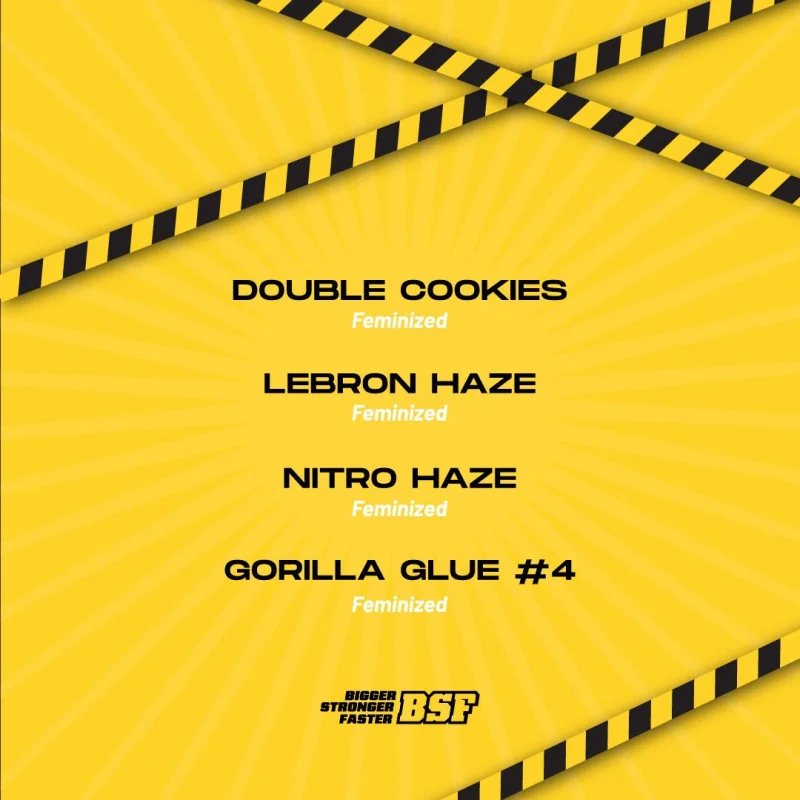 High Voltage Feminized Mix Marijuana Seeds