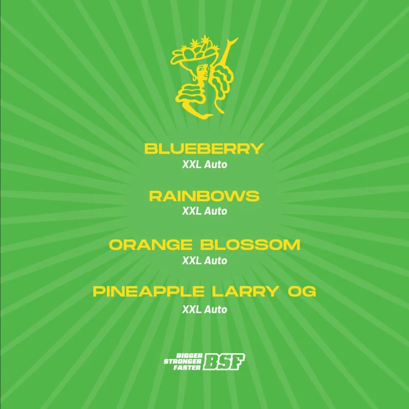 Tutti Frutti XXL Auto Mix Marijuana Seeds