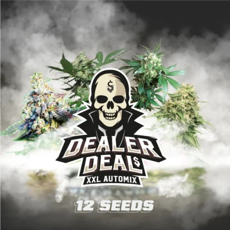Dealer Deal XXL Automix: 12 semillas BSF Seeds Marijuana Seeds