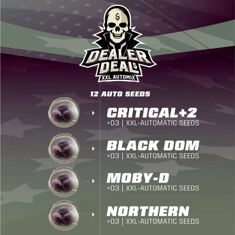 Dealer Deal XXL Automix: 12 semillas BSF Seeds Marijuana Seeds