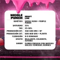 Semillas de Marihuana Nicole Punch Feminized