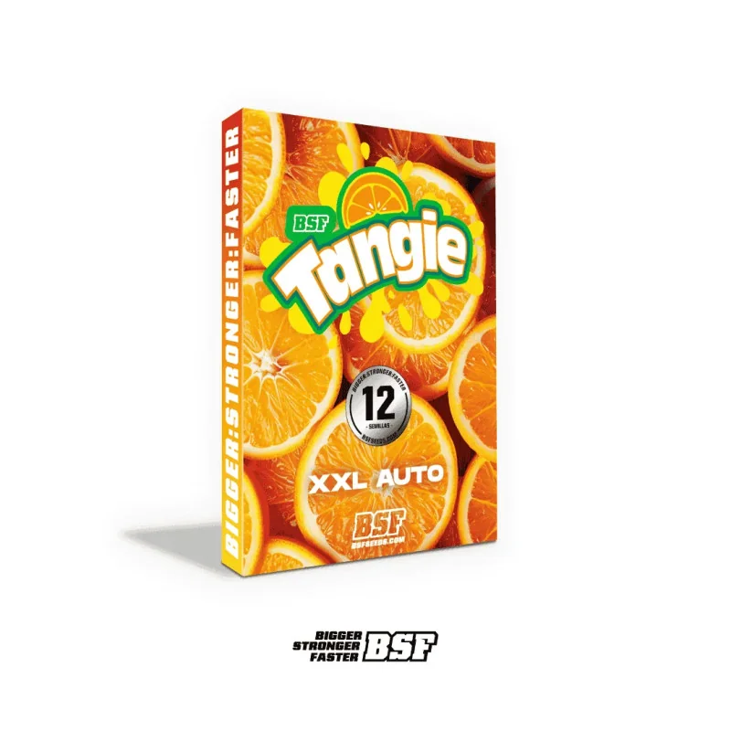 Tangie XXL Auto | BSF Seeds España y Europa
