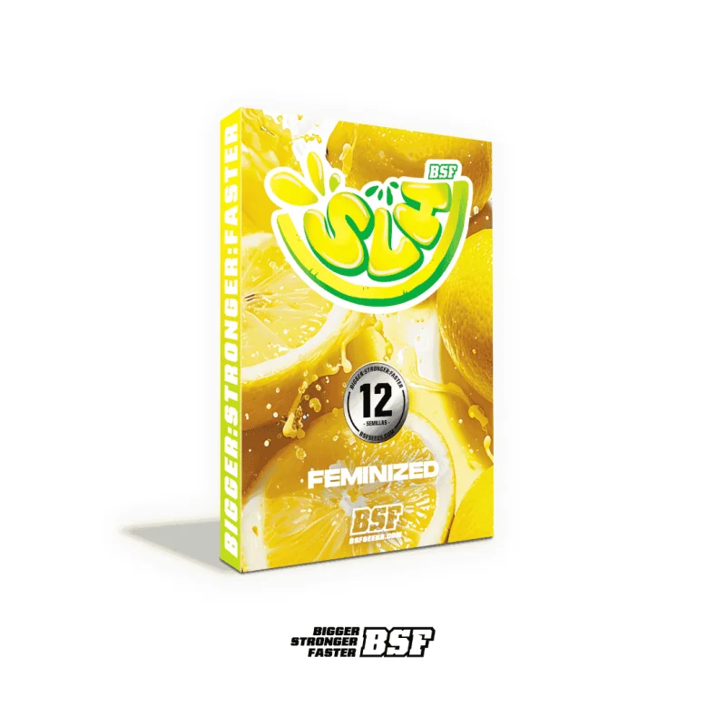 Super Lemon Haze | BSF Seeds the No.1 seed bank in Spain and Europe