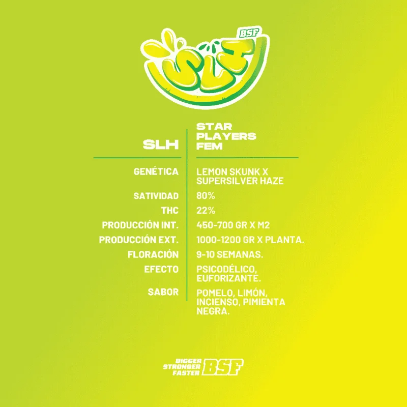 Super Lemon Haze | BSF Seeds the No.1 seed bank in Spain and Europe