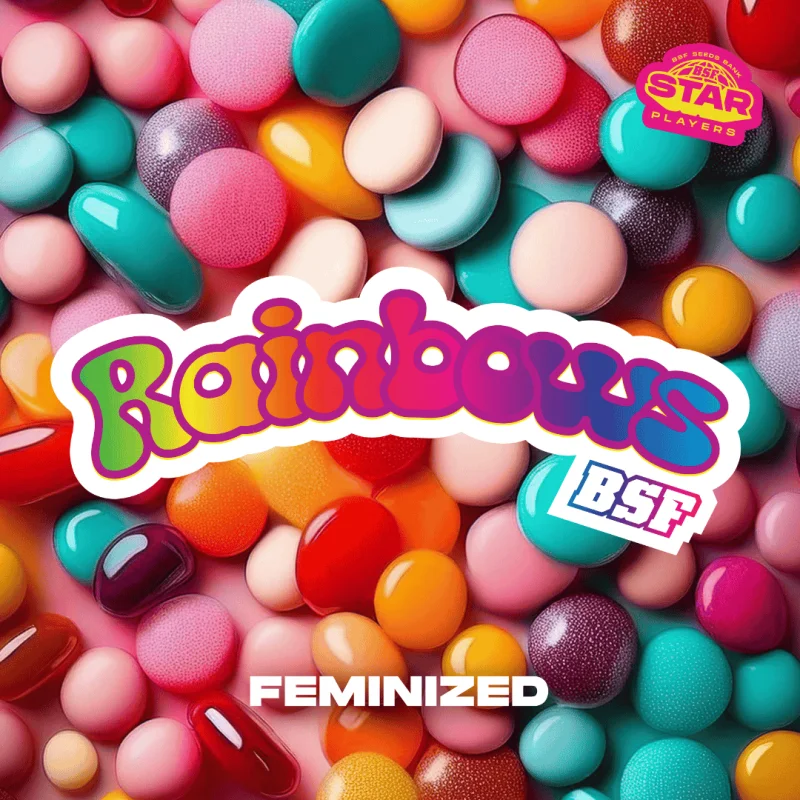 Rainbows | BSF Seeds the No.1 seed bank in Spain and Europe