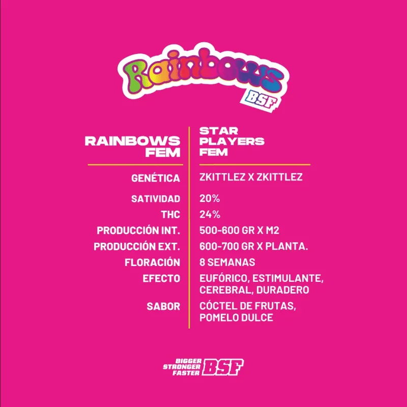 Rainbows Marijuana Seeds