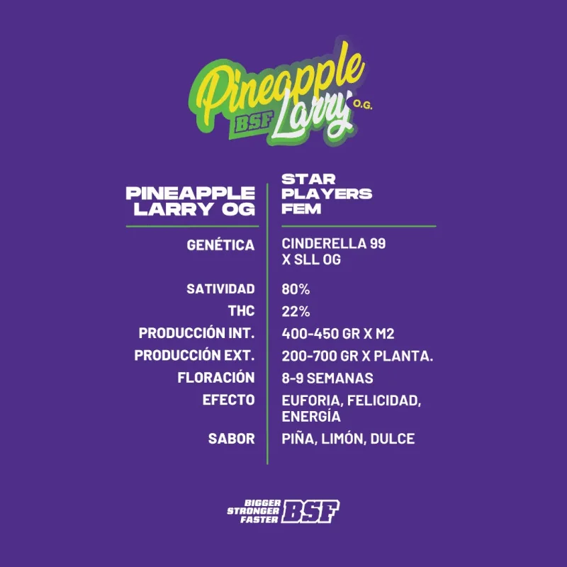 Semillas de Marihuana Pineapple Larry OG Fem