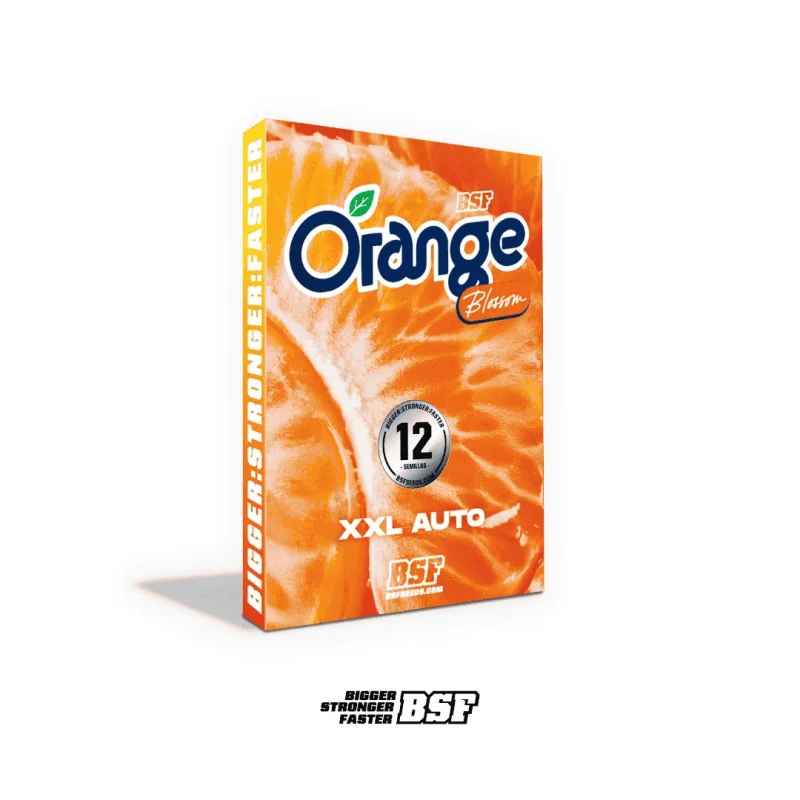 Orange Blossom XXL Auto | BSF Seeds España y Europa