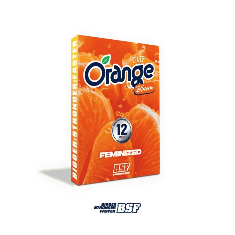 Semillas de Marihuana Orange Blossom