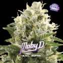 Moby D XXL Auto | BSF Seeds España y Europa