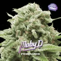 Moby D | BSF Seeds the No.1 seed bank in Spain and Europe