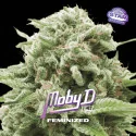 Moby D Marijuana Seeds