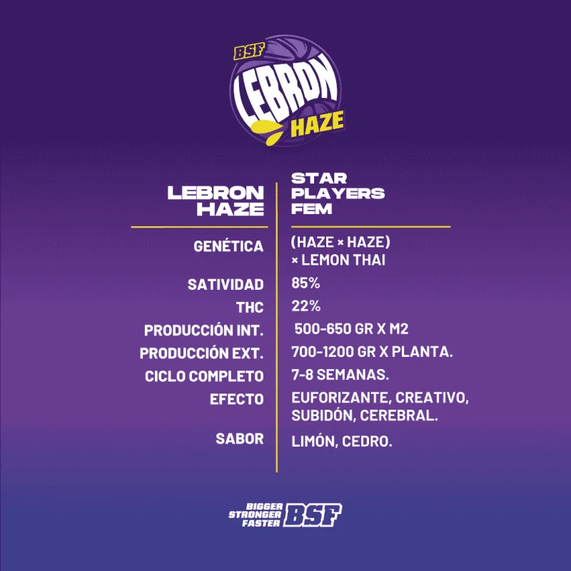 Lebron Haze | BSF Seeds the No.1 seed bank in Spain and Europe