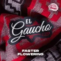 El Gaucho | BSF Seeds España y Europa