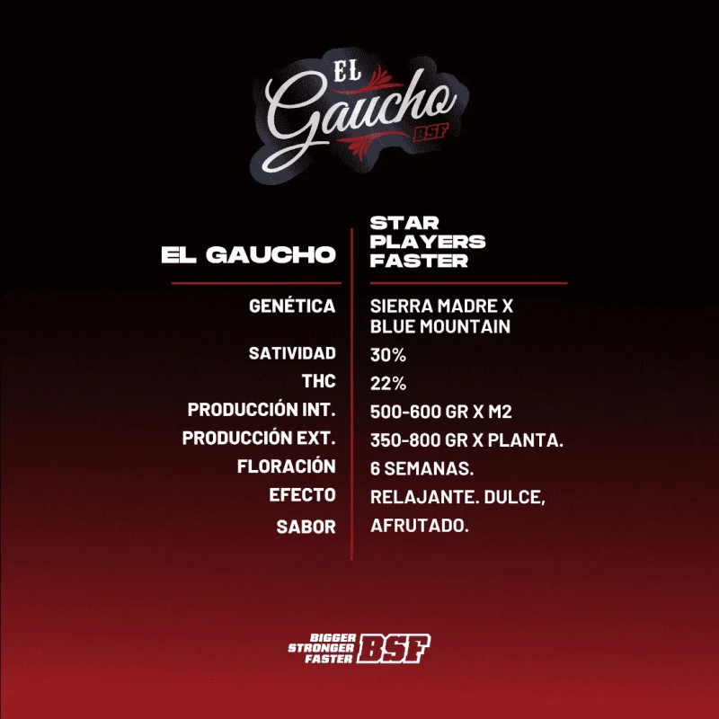 El Gaucho | BSF Seeds España y Europa