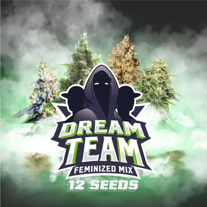Dream Team Feminized Mix: las mejores genÈticas feminizadas Marijuana Seeds