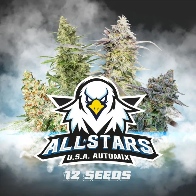 All Stars USA Automix Marijuana Seeds