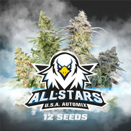 All Stars USA Automix Marijuana Seeds