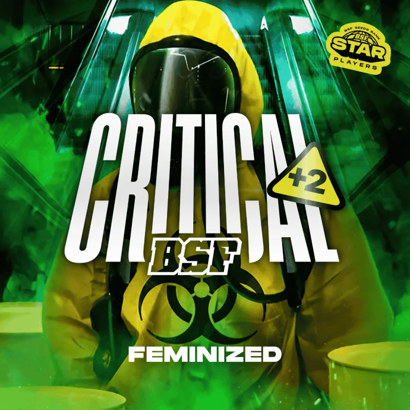Critical +2 | BSF Seeds the No.1 seed bank in Spain and Europe