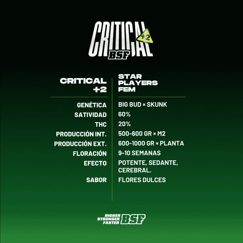 Critical +2 | BSF Seeds the No.1 seed bank in Spain and Europe