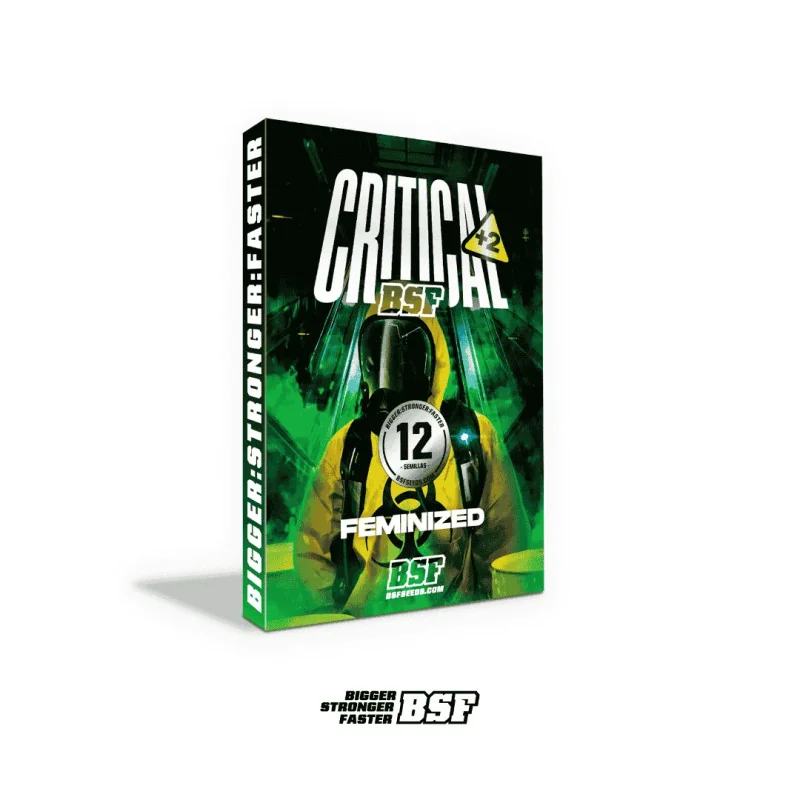 Critical +2 Marijuana Seeds