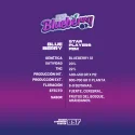 Blueberry Fem | BSF Seeds the No.1 seed bank in Spain and Europe
