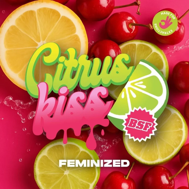 Citrus Kiss Feminizada BSF Seeds