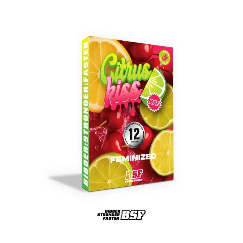 Citrus Kiss Feminized BSF Seeds