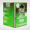 Dream Team Feminized Mix: las mejores genÈticas feminizadas Marijuana Seeds