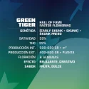 Semillas de Marihuana Green Tiger
