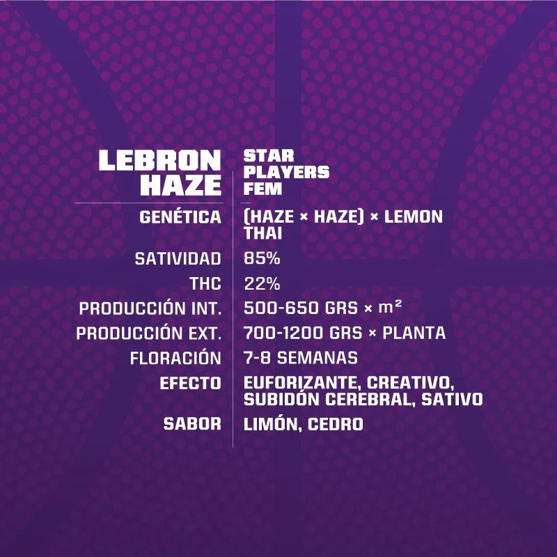 Lebron Haze Marijuana Seeds