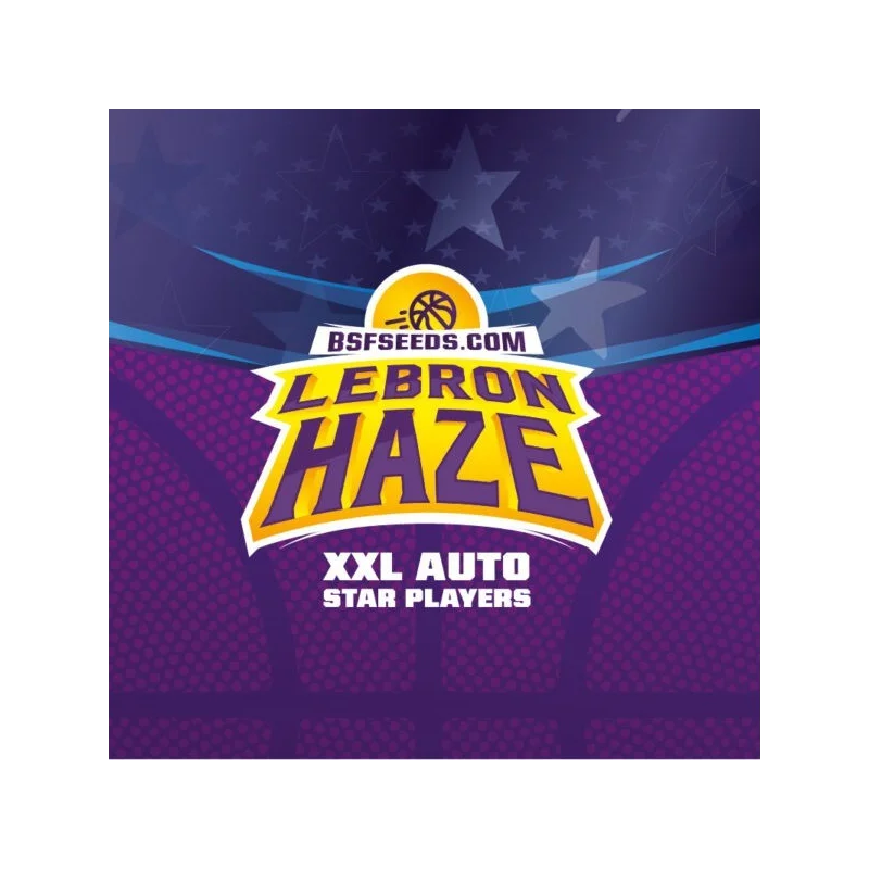 Lebron Haze XXL Auto Marijuana Seeds