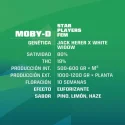Moby D Marijuana Seeds