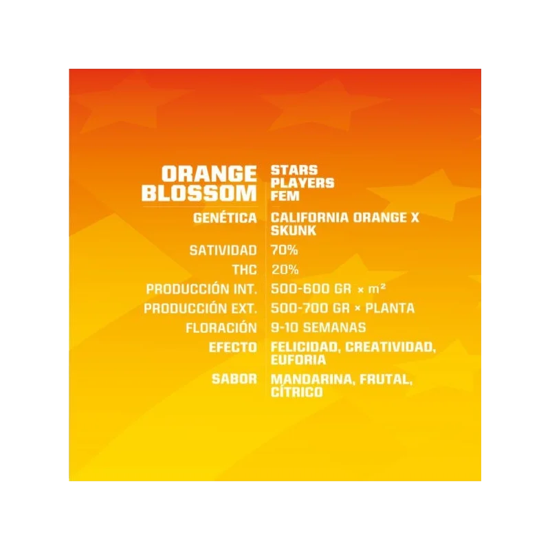 Semillas de Marihuana Orange Blossom