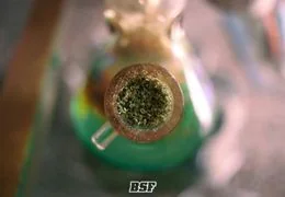 The cannabis consumption phase: when genetics turn into experience