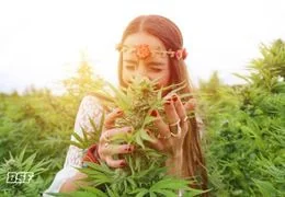8 de marzo: mujeres europeas que impulsaron la ciencia del cannabis medicinal